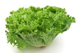 imagem de Alface Crespa Un