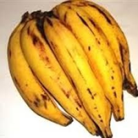 imagem de Banana da Terra Kg